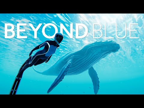 Beyond Blue | Story Teaser