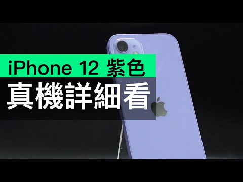 iPhone 12              