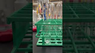 Ionic Compounds and Chemical Reactions (CaCl2 + NaHCO3)