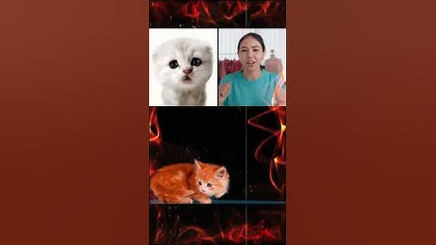 Make your boring video calls interesting with Xpression Camera 🔥 #shorts #techshorts