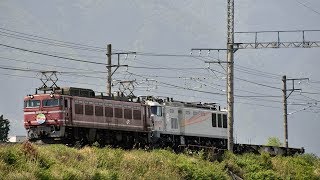 EF510-509〔1〕滋賀に来たカシオペア機 巛巛
