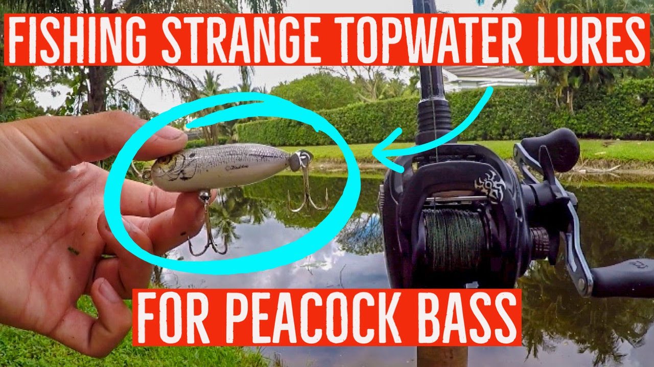 Fishing STRANGE TOPWATER Lures for Peacock Bass! YouTube