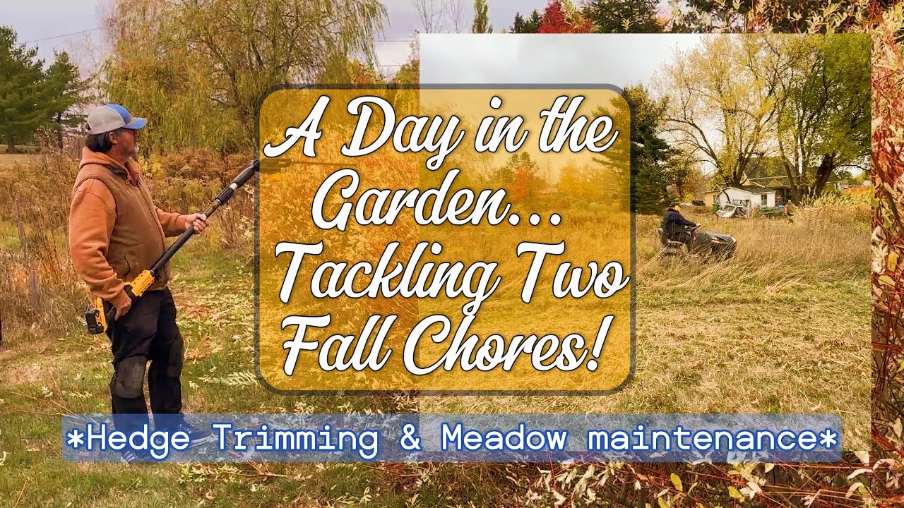 Dappled Willow Hedge Trimming & Essential Perennial Meadow Maintenance | Fall Chores in the garden.🍂