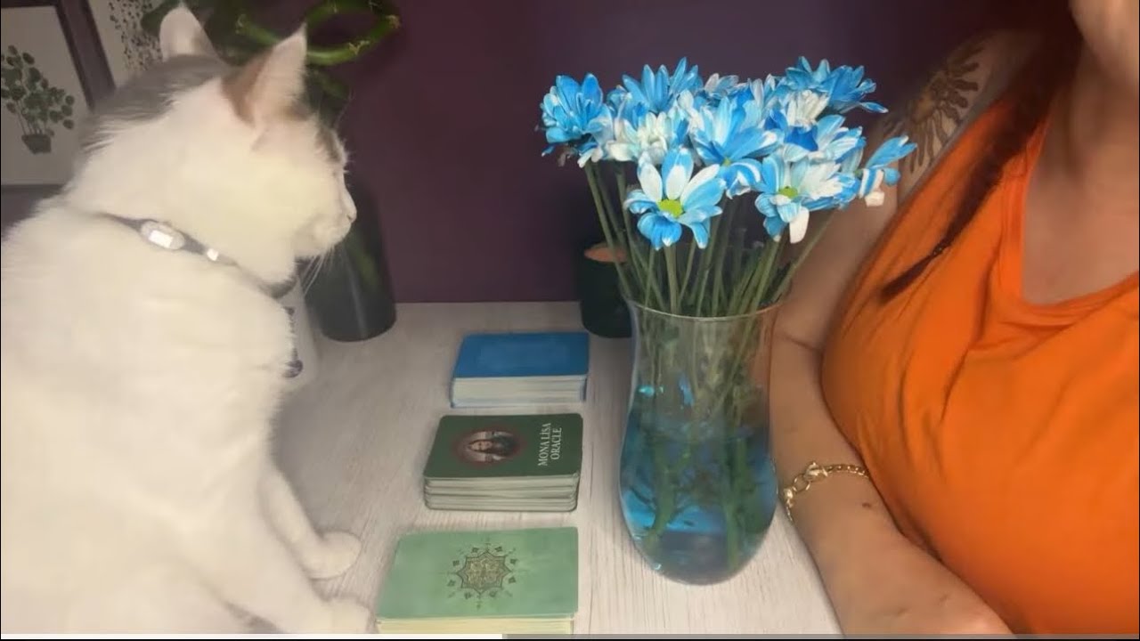 15 GÜN İCİNDE NELER OLACAK? NELER YAŞARIM? GENEL TAROT AÇILIMI @aysegulerginvlog 🧿🙏🏼🪬🪽