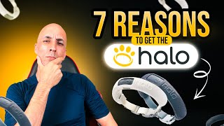 Top 7 Reasons Why You Need The Halo 3 GPS Collar!