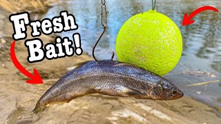 Fishing W/ Big Baits At Ice-Off For Big Toothy Fish In Backwaters!!! (Pre-Spawn Fishing!!)