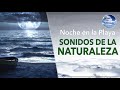 Meditación Sonidos Naturaleza - Noche en la playa