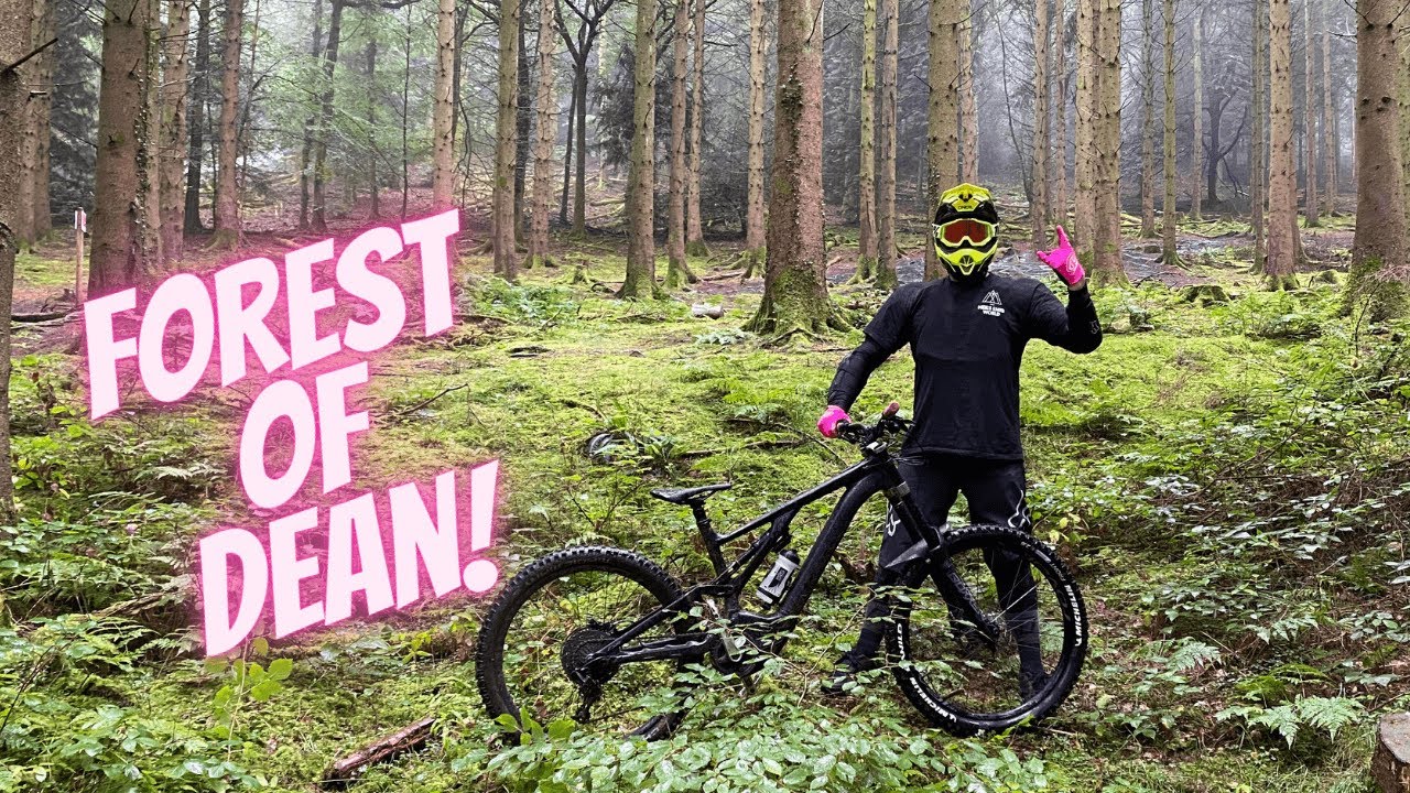 EMTB in the Forest of Dean!