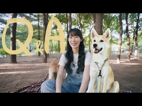 5년차 캠핑 유튜버 Q&A, 유기견이었던 나의 반려견 이야기 | 눈물바다 주의
