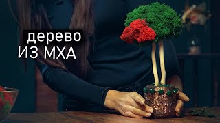 ДЕРЕВО ИЗ МХА своими руками. Топиарий из стабилизированного мха.