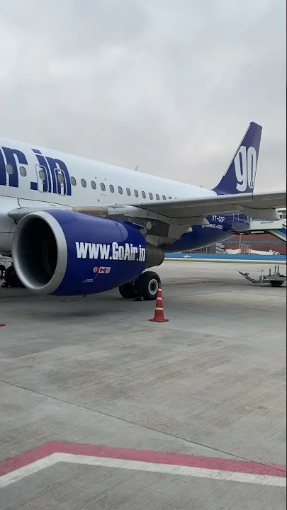 Sexy ladybird#an early morning flight will be like this #goair#gofirst#bangalore🤩😍