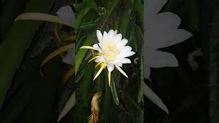 Life Waits For Nobody