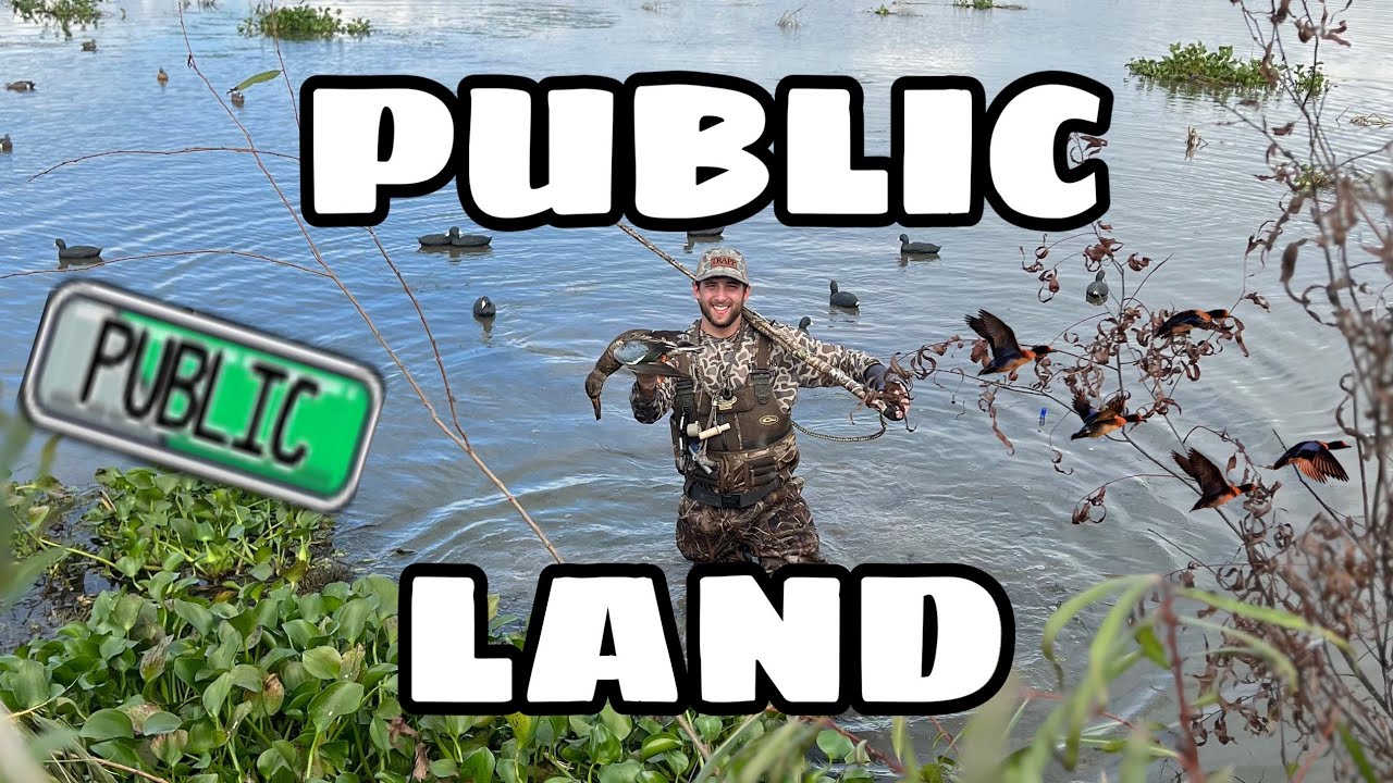 South Louisiana Duck Hunting Nov 2023 YouTube south-louisiana-duck-hunting-nov-2023-youtube