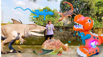 Kem Ốc và khủng long cá mập cứu con cua, con cá, con mèo, con ếch, tắc kè, bọ xít | Theu Chanel