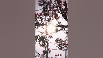 سورة النور الآية 35