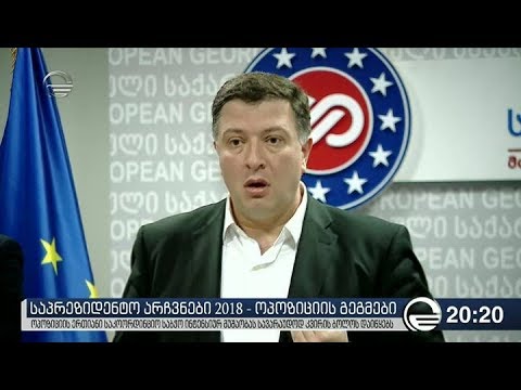 ოპოზიციის გეგმები - საპრეზიდენტო არჩევნები 2018