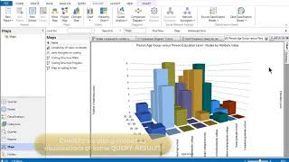NVivo Charts | Qualitative Data Analysis Services