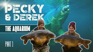 Autumn Fishing for Big Carp in France | Darrell Peck & Derek Harrison | Extract Part 1 of 2
