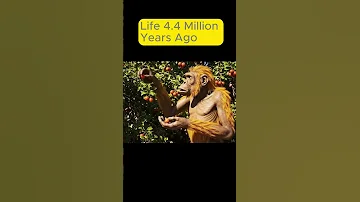 Exploring Life S Adventures Life 4 4 Million Years Ago The First Hunters And Gatherers 