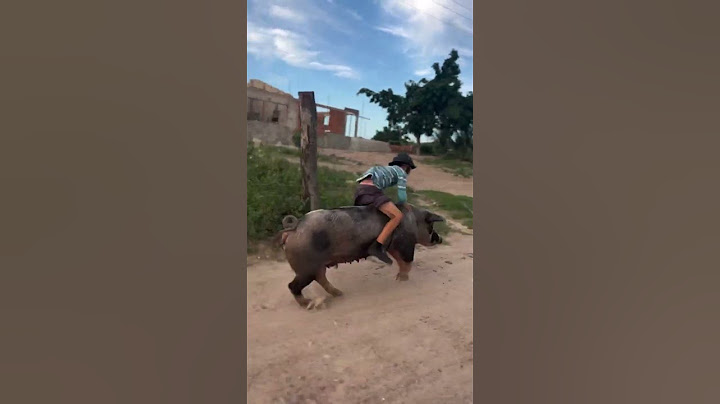 Menino montando em um Porco esse é Cowboy mesmo #Cowboy