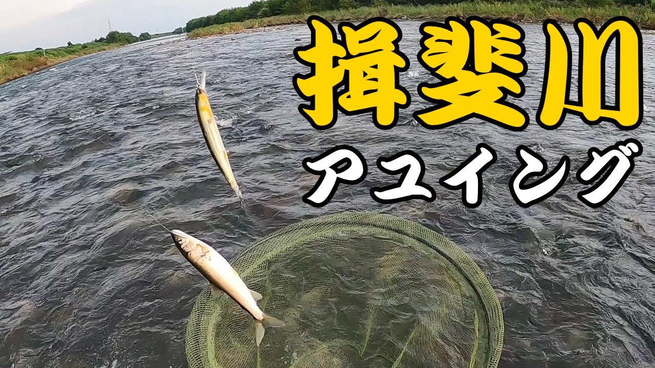 【アユイング】揖斐川で鮎ルアーしたら凄かった！