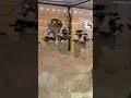ФМ МЕТЕЛИЦА АВТОР Valsetsh  #SHAMAN #shorts #viral #viralvideo #shortsvideo #top #reels