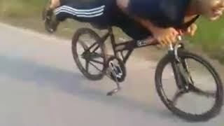 Lajak Ceneh @safaruddin1126