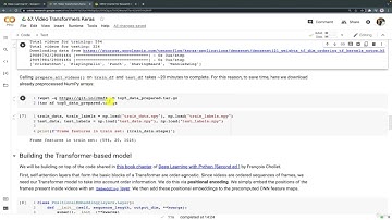 1  Video Classification with Transformers