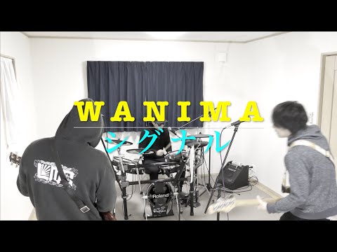 WANIMA 【シグナル】バンドカバー