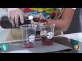 Keeping it Chill | TVJ Smile Jamaica
