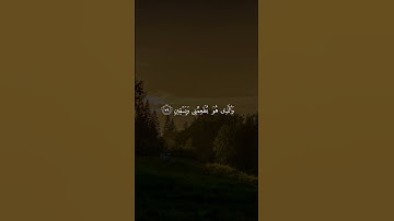 تلاوة رائعة من سورة الشعراء | الشيخ محمد صديق المنشاوي رحمه الله #المنشاوي #القرآن_الكريم