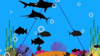 The marine ecosystem