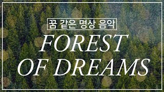 꿈 같은 명상 음악 🌳 Forest of Dreams