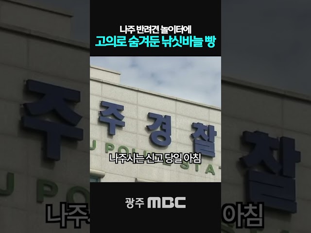 반려견 놀이터에서 낚싯바늘 빵 발견...용의자 추적