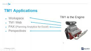 Features and Techniques in Planning Analytics