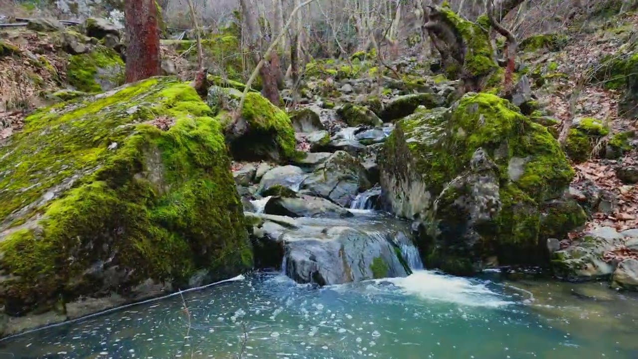 DİNEK DERESİ - KOÇAK KÖYÜ -  ERBAA  /  TOKAT