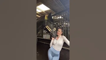 Horse Lover S HotGirls Hourse FunnyVideos Trending Viral 