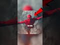 SPIDERMAN HAS BETTER WEBS 😱 #marvel