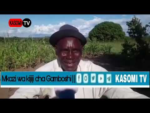 GAMBOSHI GAMBOSI NA NADHARIA YA UCHAWI