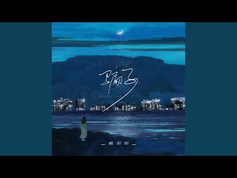 骗子 (DJR7版)