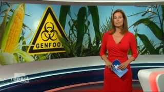130730 Monsanto In Die Eu