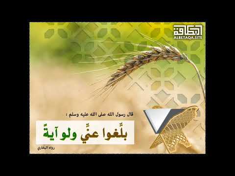 الشيخ محمد سيد حاج فتوى رقم ٦١ يسأل عن قول الشيخ الالباني في الاذان الاول الصلاة خير