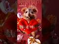 Happy Valentines Day my Lowve squirrel egofilm mp3