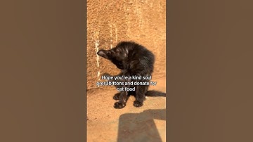link in bio for donations #food #cats