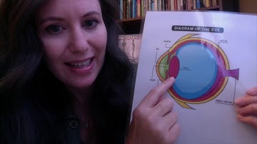 Hands-on Science Week 2, Cycle 3: Eyes and Lenses