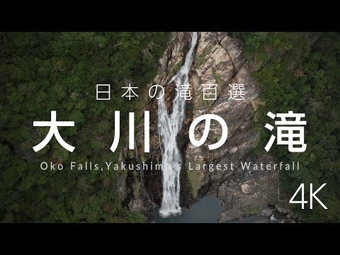 大川の滝 - 屋久島最大級の滝をドローンで空撮 | Oko Falls - Exploring Yakushima’s Largest Waterfall by Drone