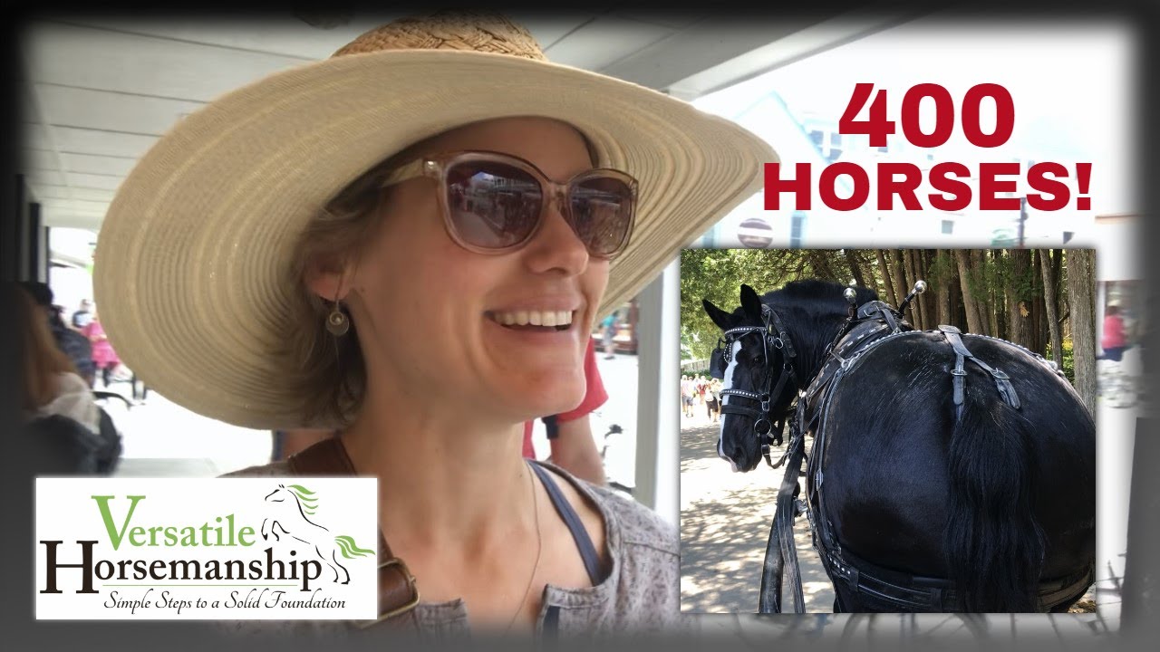 An Island With 400 Horses!  Mackinac Island part 1 // Versatile Horsemanship
