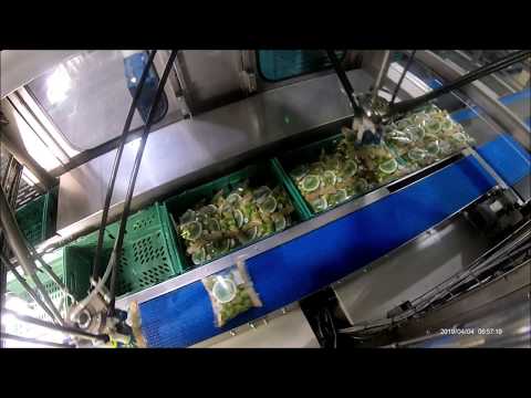 Automated packing of VFFS and flow wrap bags into retail crates