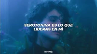 Humbe - Serotonina (Letra)