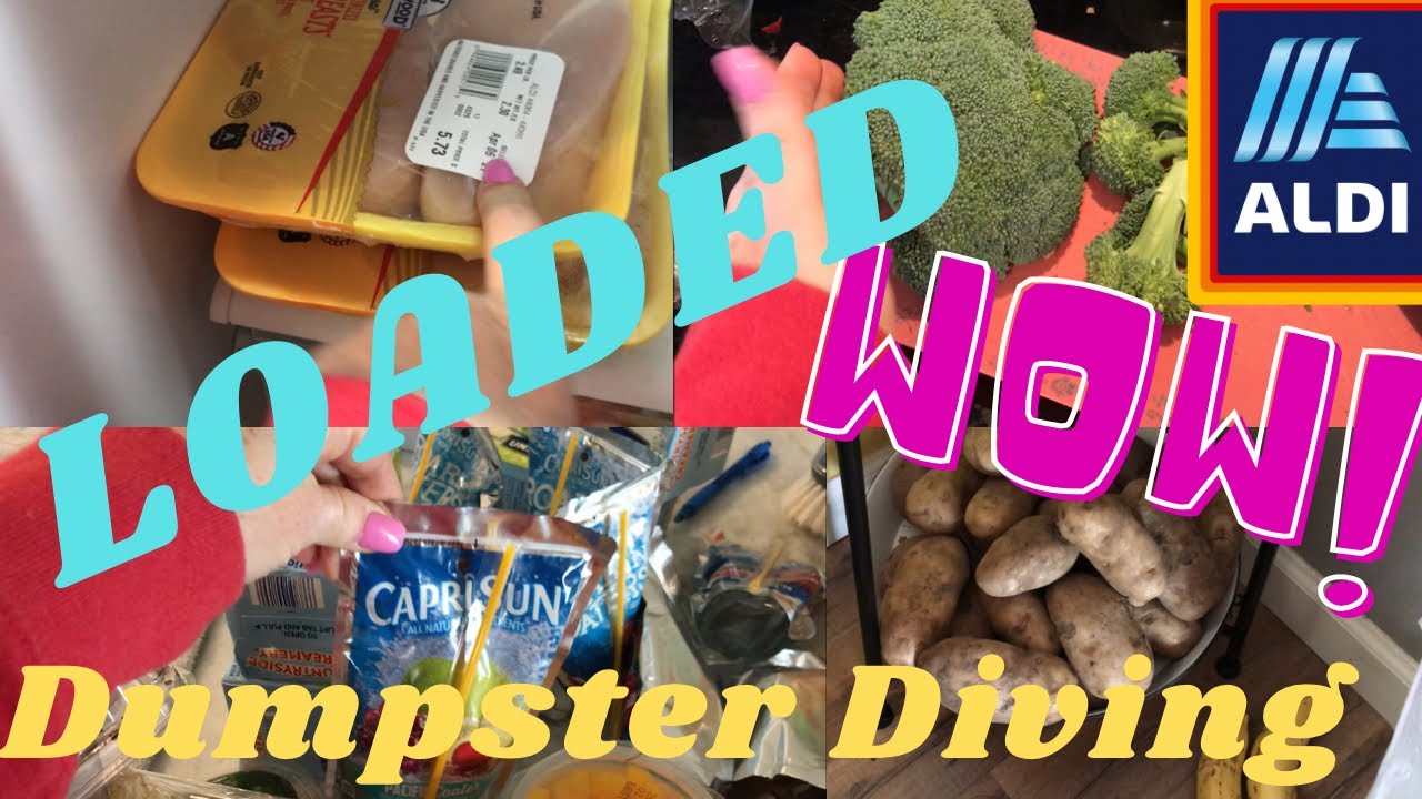 Dumpster diving & finding EXACTLY what we needed | cooking from the